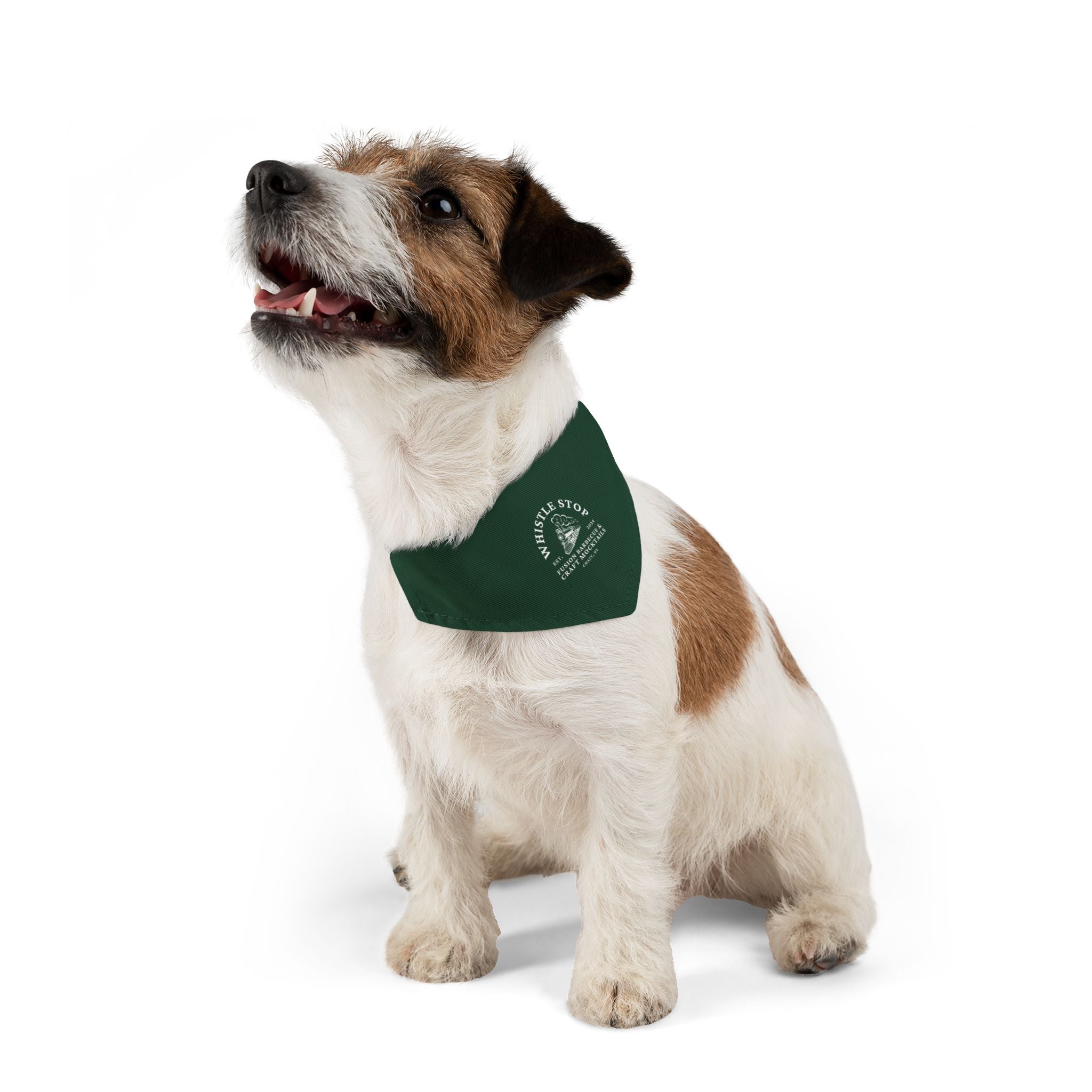 Whistle Stop Green Pet Bandana Collar
